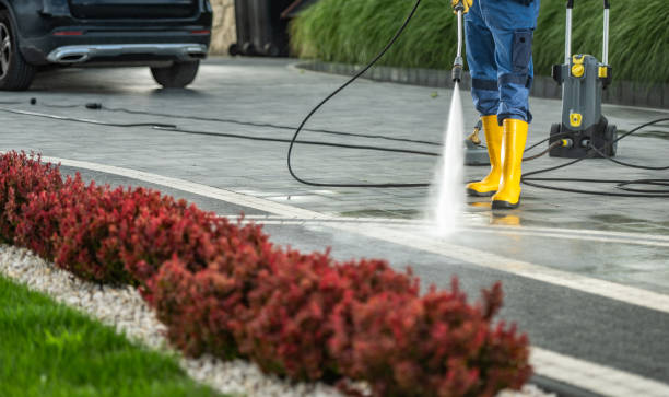 Best Driveway Pressure Washing  in Staunton, VA